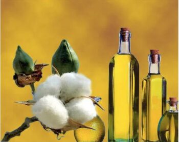 A266b032ff2184626bf20cce2bdafc739V Cottonseed Oil