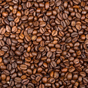 A5a680f695afd45218d7b8a9add7adf86P Coffea canephora