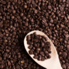 Ac57797c1a37c4fd4a418187fee9eeb97J Coffea canephora