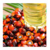 Afca8d67d0d424de48f43d7393e4330a4G Palm oil
