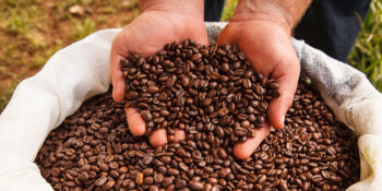 Britt-Coffee-Tour-Private-3 Espírito Santo