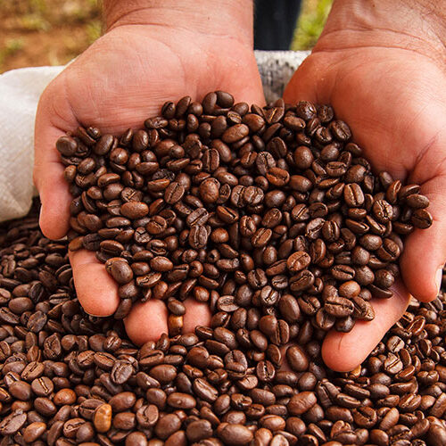 Britt-Coffee-Tour-Private-3 Espírito Santo