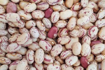 Cramberry-Beans Carioca beans