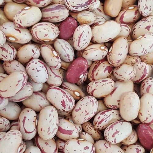 Cramberry-Beans Carioca beans