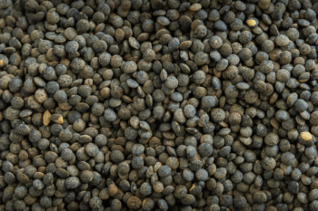 French-Green-Lentils (1) Green Lentils