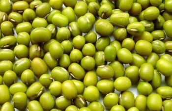 Green-mung Mung Beans
