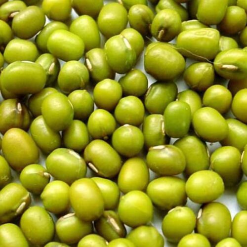 Green-mung Mung Beans
