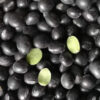 H73b2a079d2d742bca15dd67d71a9145eE Black soybeans
