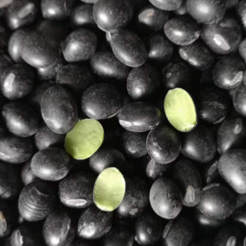 H73b2a079d2d742bca15dd67d71a9145eE Black soybeans