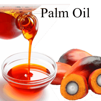 HTB1_D6mavLsK1Rjy0Fb760SEXXa2 Palm oil