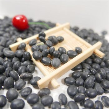 Hb59b812a4f5e4aa2ae120eed40c81589N Black soybeans