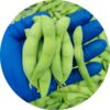 Hbb89856a5693457fac96cea5e5c01e95m Green soybeans