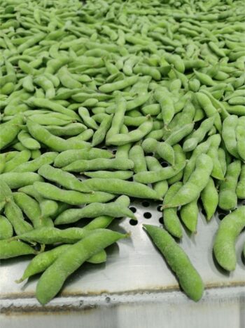Hc8527427b81848679a0617e79987a0f8G Green soybeans