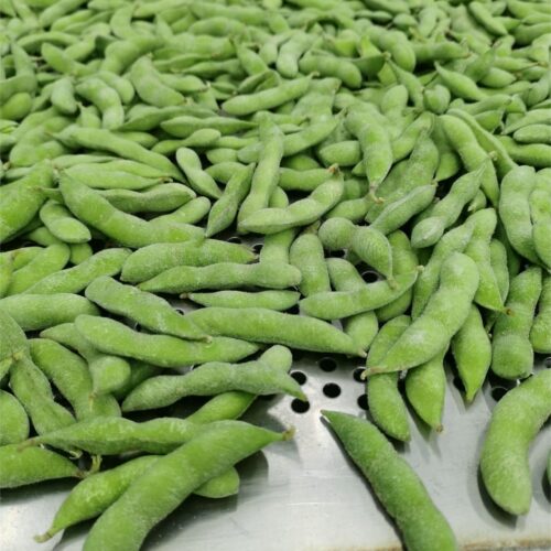 Hc8527427b81848679a0617e79987a0f8G Green soybeans