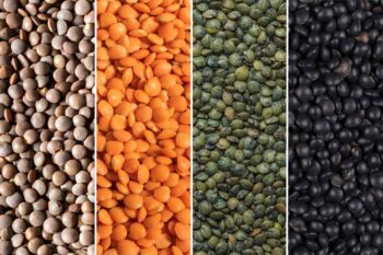 Lentils-Are-Your-Ticket-to-Quick-and-Hearty-Meals-FT-BLOG0125-83a85aa4ddcf47f4ac0a5a71870a379d Other Special Varieties(Brown, black, yellow) Lentils