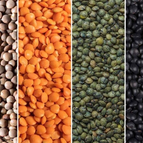 Lentils-Are-Your-Ticket-to-Quick-and-Hearty-Meals-FT-BLOG0125-83a85aa4ddcf47f4ac0a5a71870a379d Other Special Varieties(Brown, black, yellow) Lentils