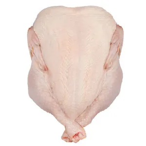 Webp.net-resizeimage-3-1 Frozen Chicken Griller