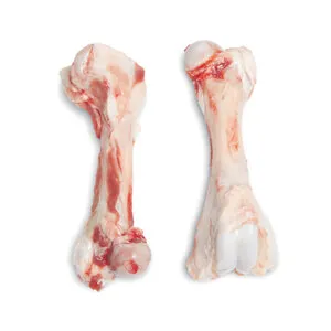 Webp.net-resizeimage-36-1 (1) Frozen Pork Humerus