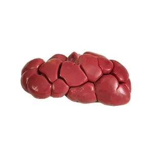 Webp.net-resizeimage-58-1 Frozen Beef Kidney