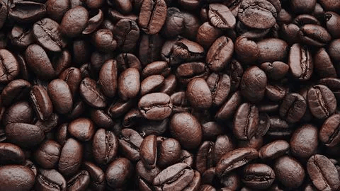 cafe_18.jpg Mundo Novo Coffee