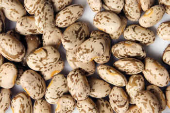 pinto Pinto beans