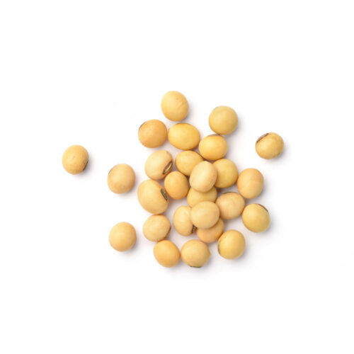 soybeans-1 Yellow soybeans